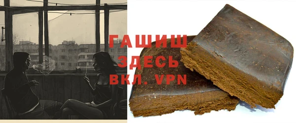 индика Весьегонск