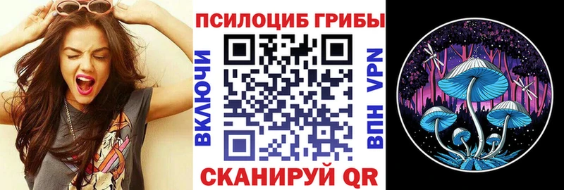 MEGA ONION  дарк нет телеграм  Галлюциногенные грибы мицелий  купить закладку  Ржев 