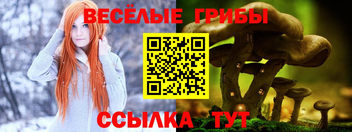 Галлюциногенные грибы Cubensis  Вход с VPN  Ржев 